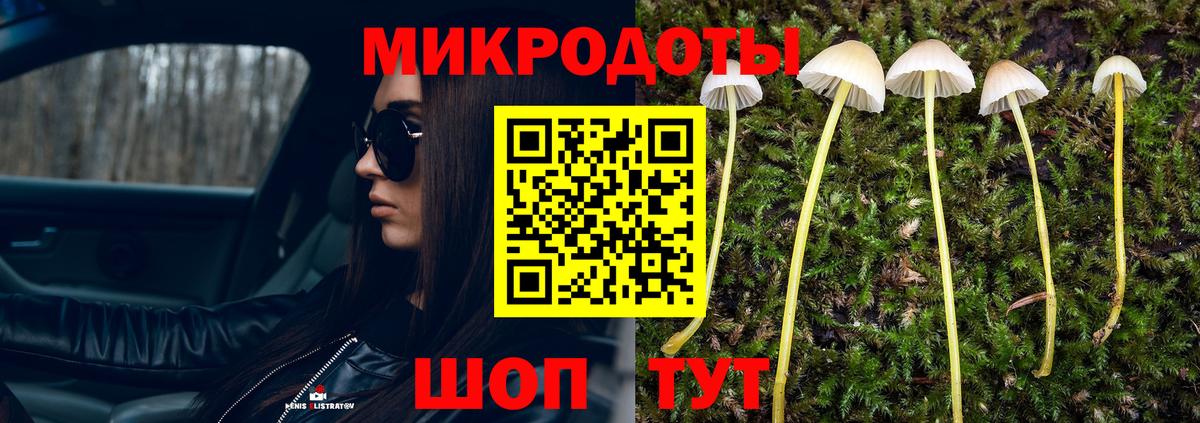 Псилоцибиновые грибы Cubensis  Псилоцибиновые грибы ЛСД  Улан-Удэ  Вход с VPN 